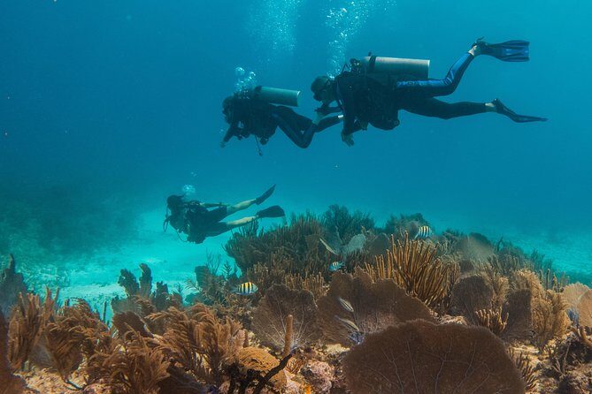 Scuba Diving in Cozumel Island - The second reef stop: make it count (and manage your energy)