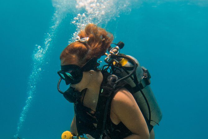Scuba Diving in Cozumel Island - Price and value: what $220 buys you (and what to budget extra)