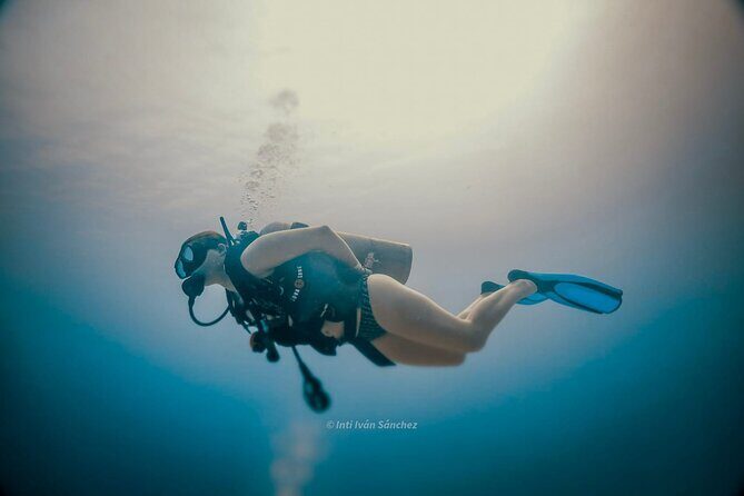 Scuba Referral Dives & Beach Club with Transportation In Riviera Maya - Gear, Insurance, and What You’ll Still Need to Plan