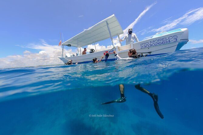 Scuba Referral Dives & Beach Club with Transportation In Riviera Maya - Cost and Value: What $300 Covers (and What It Doesn’t)