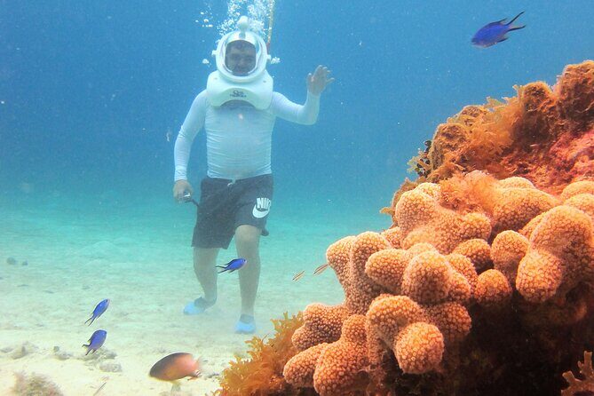 Sea Trek Adventure at Chankanaab National Park - Snorkeling after Sea Trek: the easiest way to add reef time