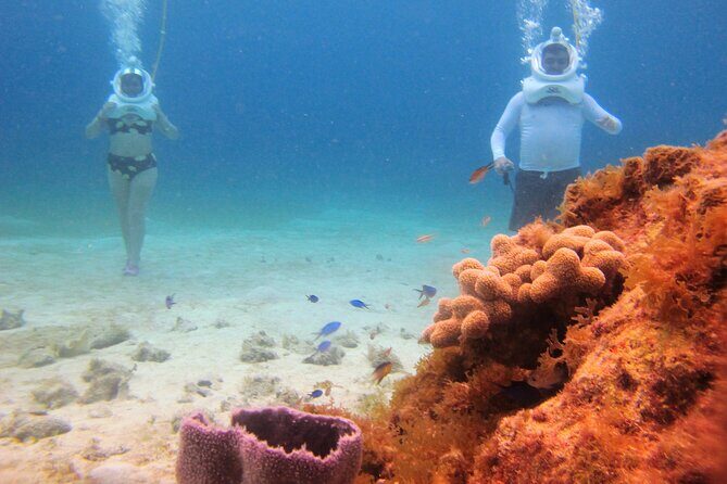 Sea Trek Adventure at Chankanaab National Park - Price and entrance fee: what your $79 really covers