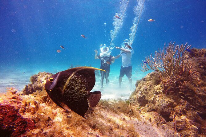 Sea Trek Adventure at Chankanaab National Park - Group size, time slots, and avoiding disappointment