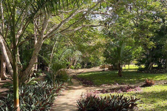 Sian Ka'an Adventure (Private, Full Day) - Lunch and Snacks: Built-In Fuel for a Long Morning