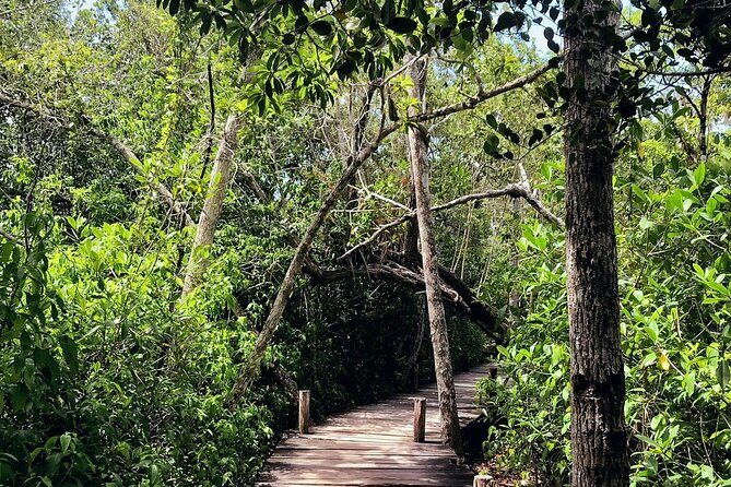 Sian Ka'an Biosphere Reserve Guided Tour - Timing: how to plan around the 5 hours