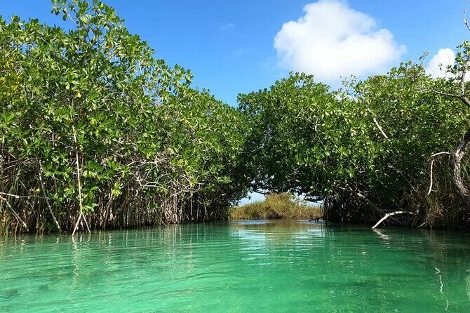 Sian Ka'an Biosphere Reserve Guided Tour - Pickup in Tulum that actually matches real life