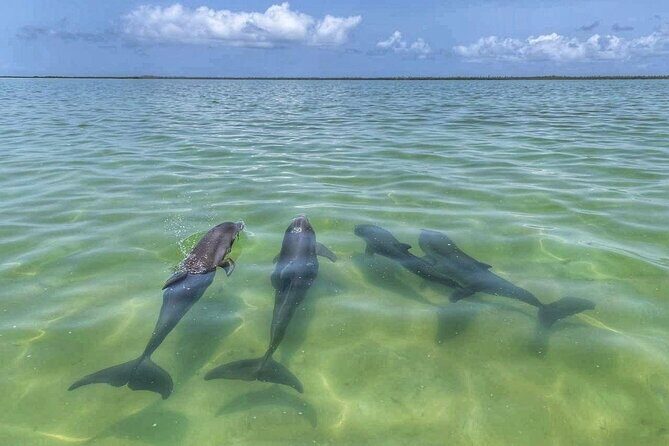 Sian Ka'an Boat Experience from Riviera Maya to Tulum - Group size, language, and who this tour fits best