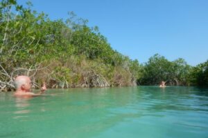 Sian Kaan Muyil Floating Canals - The floating canals and lagoons: the ride, the water, and the mood