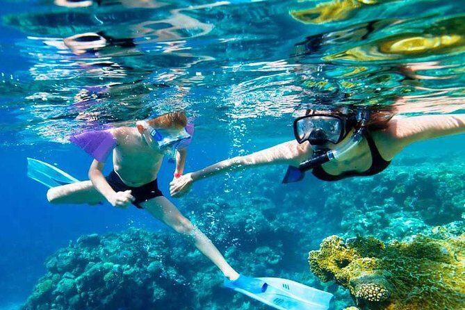 SkyReef Cozumel Snorkel & Tequila Tasting - Skyreef Beach Club Cozumel: The Reef-First Reality
