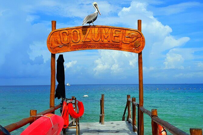 SkyReef Cozumel Snorkel & Tequila Tasting - Beach Club Time: Welcome Drink, Chairs, and Real Relaxation