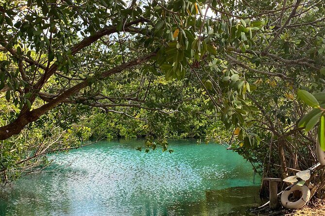Small-Group 3 Cenotes Adventure Tour - Logistics That Matter: Pickup, Timing, and Extra Fees Outside Tulum