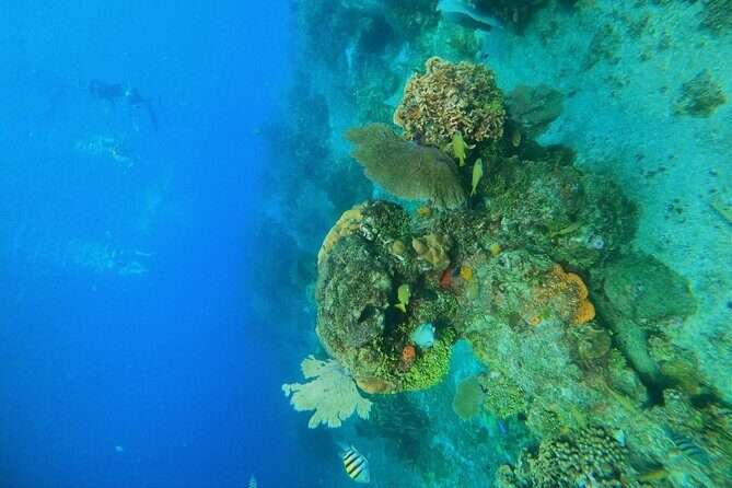Snorkel along the coast, explore two reefs by Chivis del Mar - The 90-minute rhythm: when you get in the water and when you rest