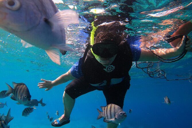 Snorkel along the coast, explore two reefs by Chivis del Mar - Paraiso Reef: coral plus statues for easy, scenic snorkeling