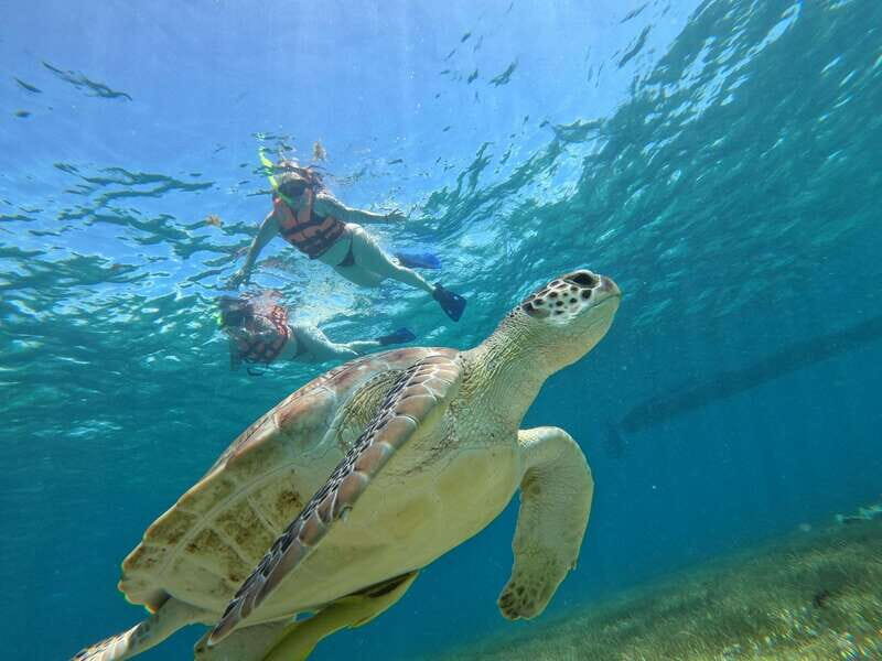 SNORKEL IN TULUM REEF, BOAT RIDE AND CALETA - The secret caleta swim: sargassum-free water and natural scenery
