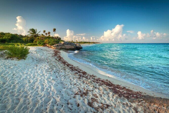 Snorkeling Adventure Tour Reef & Cenote - Tulum Reef Bay Snorkeling: What You’ll Actually See