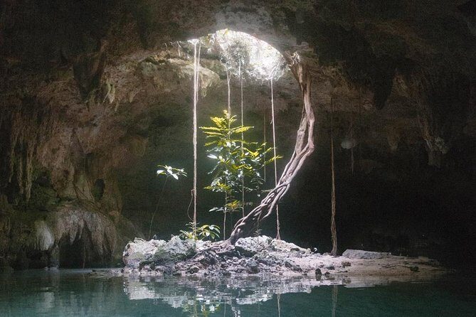 Snorkeling Adventure Tour Reef & Cenote - Equipment, Sunscreen Rules, and What to Bring