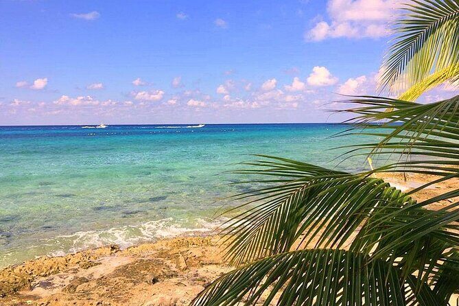 Snorkeling and Beach Club Access in Cozumel with Lunch - Who Should Book (and Who Should Skip)