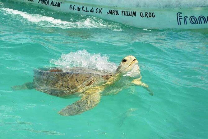 Snorkeling in Sian Ka'an - Entering the Sian Ka’an Reserve Zone: Village Time Then Boat
