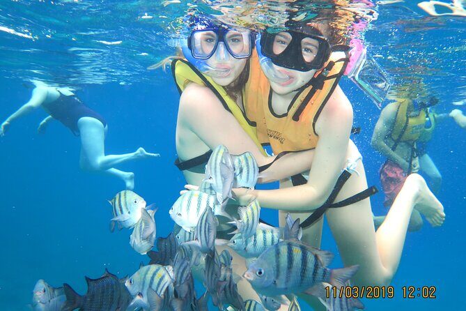 Snorkeling Trip at Cozumel Beach Club with Lunch Included - What to Expect Underwater: Style, Pacing, and Comfort