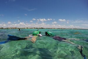 Snorkeling with Caribbean fish and private cenote exploration - Tulum Archaeological Site Stop: A Familiar Name, Quick Context