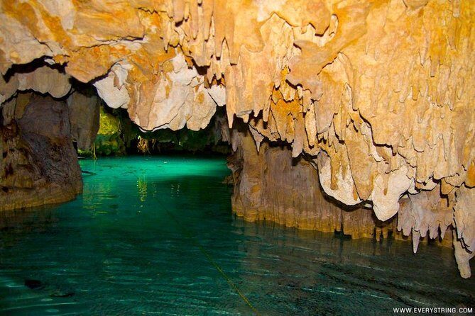 Snorkeling with Caribbean fish and private cenote exploration - Price and Value: $169 Is Not Cheap, But It’s a Combo Done for Real
