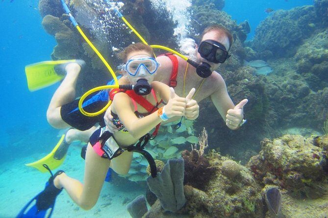 SNUBA Cozumel Underwater Adventure inside Chankanaab National Park - SNUBA Cozumel in Chankanaab: What this experience actually feels like