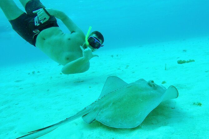 Starfish, Stingrays and the Turtle Sanctuary Snorkel Tour - Stop 1: Playa El Cielo and the Starfish Zone