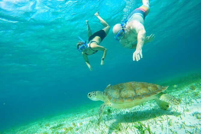 Starfish, Stingrays and the Turtle Sanctuary Snorkel Tour - About the Turtle Sanctuary Promise: A Name With Mixed Reality