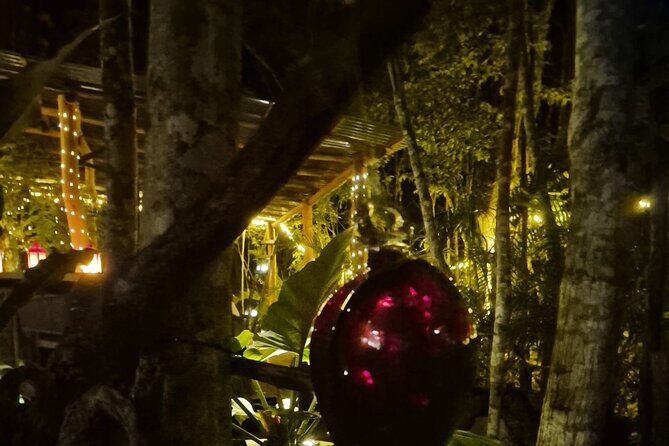 Steak or Lobster dinner in a magical jungle setting. - Service Style in the Jungle: Owner Heather, Waiter William, Chef Max