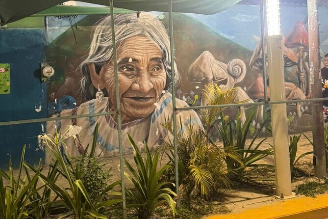 Street Art & Cemetery Cultural Tour - half day - How street art becomes a lesson (Victor, JC, and the Day of the Dead link)