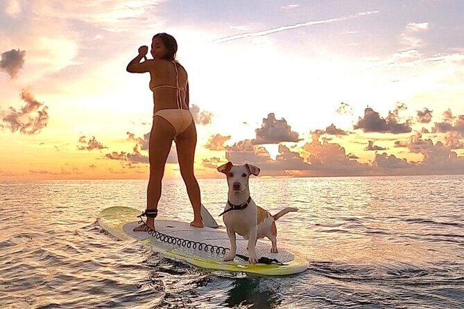 Sunrise Paddle Surf - The Meeting Point Maze (And How to Make It Easy)