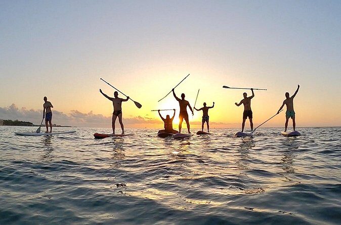 Sunrise Paddle Surf - Guides, Photos, and the Small-Group Advantage