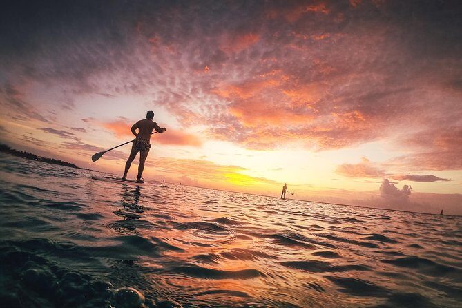 Sunrise Session - The #1 Paddleboard Tour On The Caribbean Sea - Paddling into sunrise: the main show on the Caribbean Sea