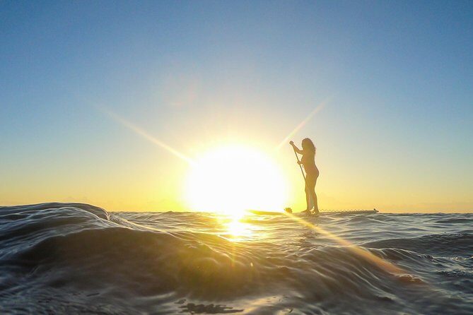 Sunrise Session - The #1 Paddleboard Tour On The Caribbean Sea - Price and value: $50 for gear, instruction, and captured memories