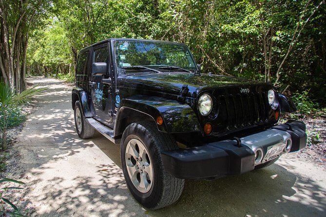 Super Cozumel Combo Snorkel by Boat and Jeep Exploration (Private) - Tortugas Beach Club: lunch, Wi-Fi, and what to do before snorkeling
