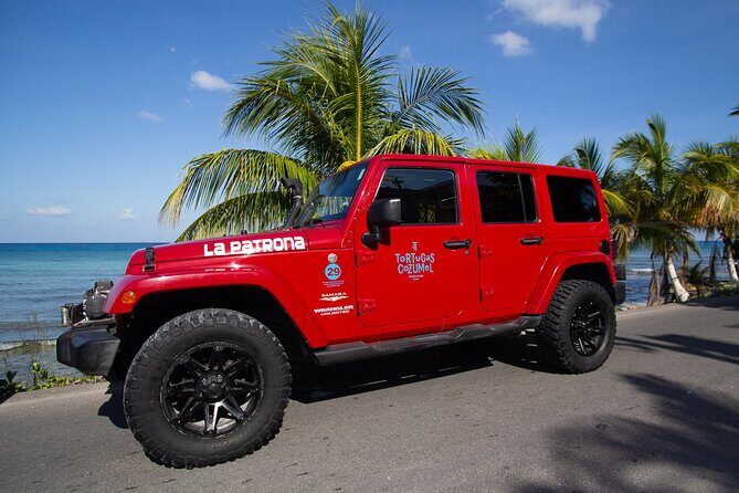 Super Cozumel Combo Snorkel by Boat and Jeep Exploration (Private) - Tequila tasting at the end: learning without the hard sell