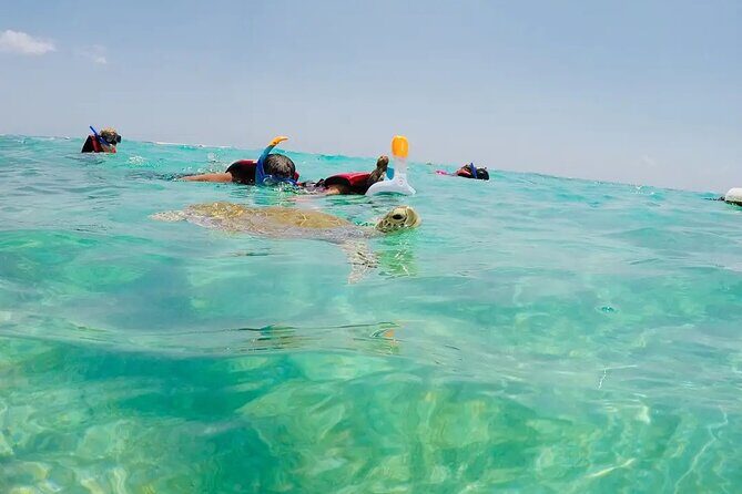 Swim with akumal turtles - Facilities and end-of-tour time on the beach