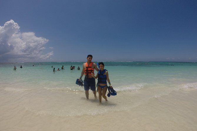 Swim with sea turtles - Getting to the Meeting Point Near Public Transport