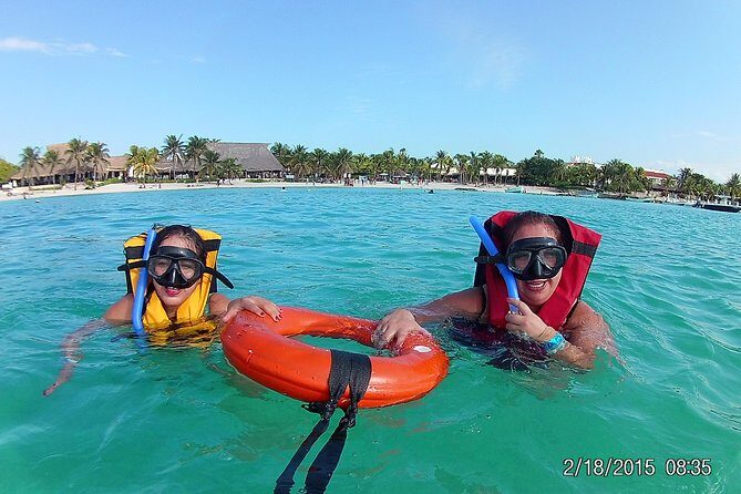 Swim with sea turtles - What You’ll See Under the Waterline (Turtles, Rays, Fish)