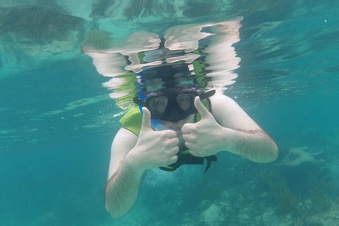 Swim with sea turtles - Respect Rules You Should Plan For (Including Sunscreen)