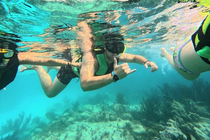 Swim with Turtles in Akumal + GoPro Photo Session - Akumal Turtles and the Protected Snorkel Circuit