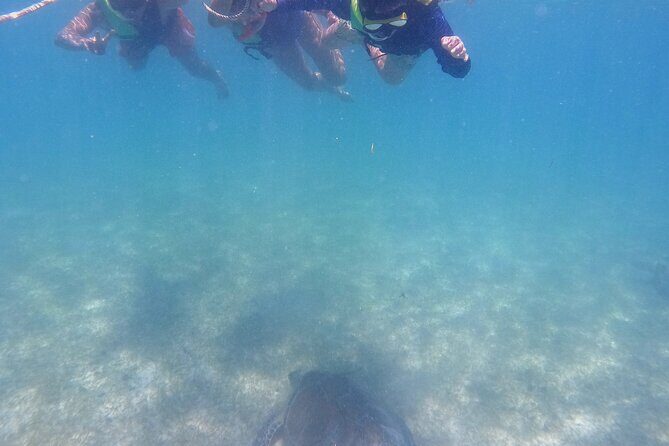 Swim with Turtles in Akumal + GoPro Photo Session - On the Water: The Akumal Moment-by-Moment Plan