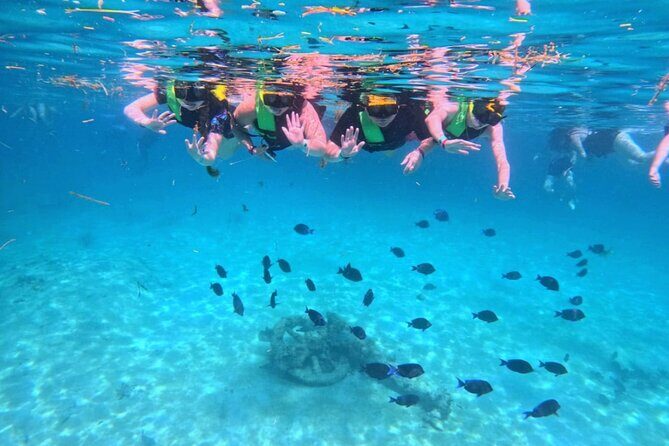 Swim with Turtles in Akumal + GoPro Photo Session - Price and Value: $53.59 Makes Sense If You Want Photos and Peace