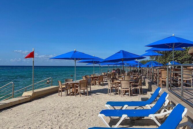 Tequila History and Tasting Experience and Unlimited Beach Break - Who this tour suits best (and who should skip it)