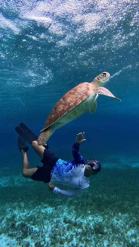 The Cozumel Turtle Sanctuary Snorkel Tour - Getting to the right dock: timing and pickup that matters
