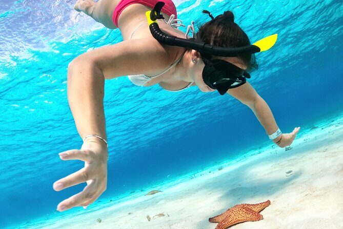 The Cozumel Turtle Sanctuary Snorkel Tour - Cozumel’s best move: snorkel reefs without needing your own boat