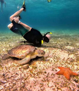 The Cozumel Turtle Sanctuary Snorkel Tour - Colombia Reef and Palancar Reef: where the color starts