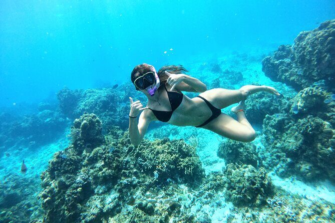 The Cozumel Turtle Sanctuary Snorkel Tour - Turtle sanctuary stop: turtles are wild, so think natural rhythm