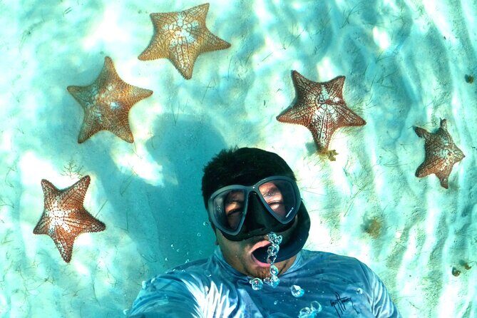 The Cozumel Turtle Sanctuary Snorkel Tour - Food and drinks: where the value actually shows