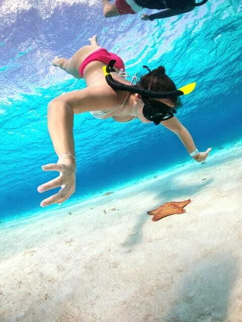 The Cozumel Turtle Sanctuary Snorkel Tour - Price and value: what you’re paying for (and what’s extra)